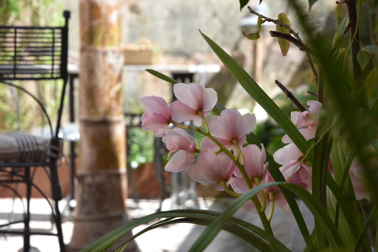 Ecocirer Healthy Stay Sóller Екстериор снимка