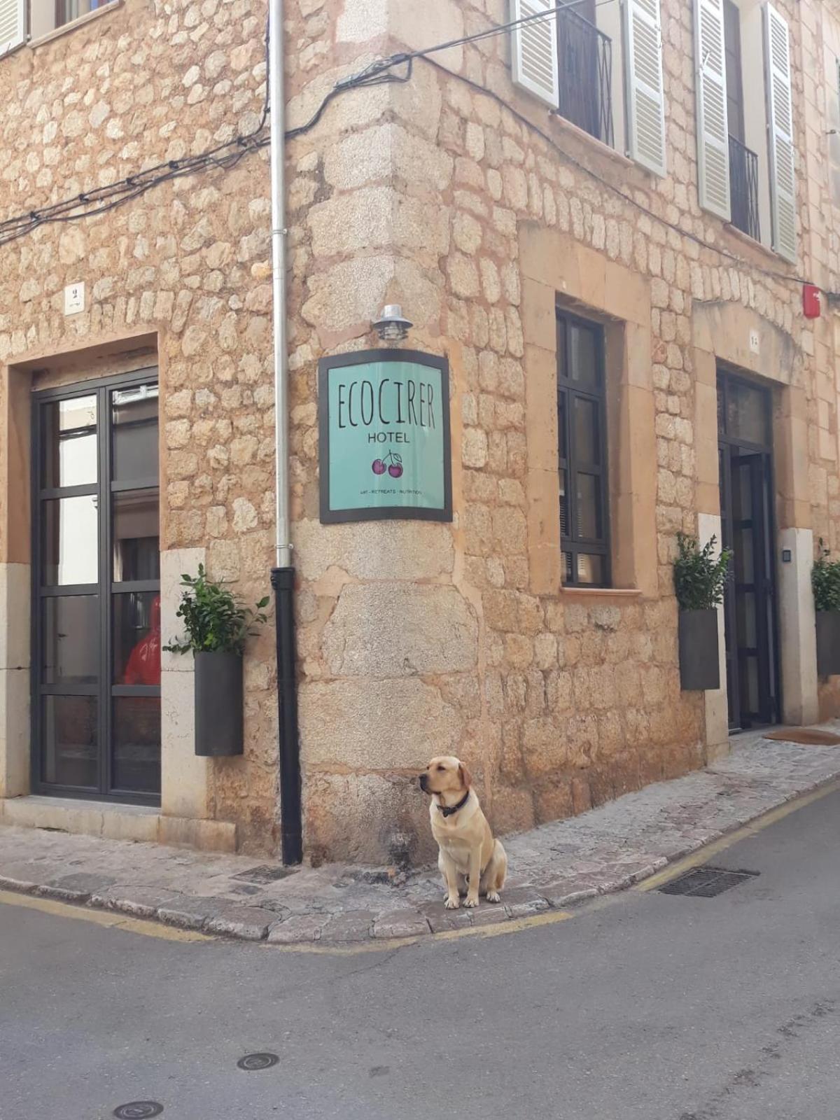 Ecocirer Healthy Stay Sóller Екстериор снимка
